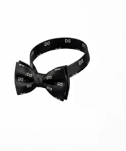 Silk Bowtie